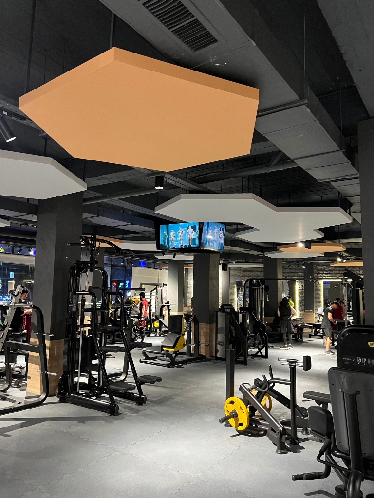 State of the art gym floor at GA Fitness